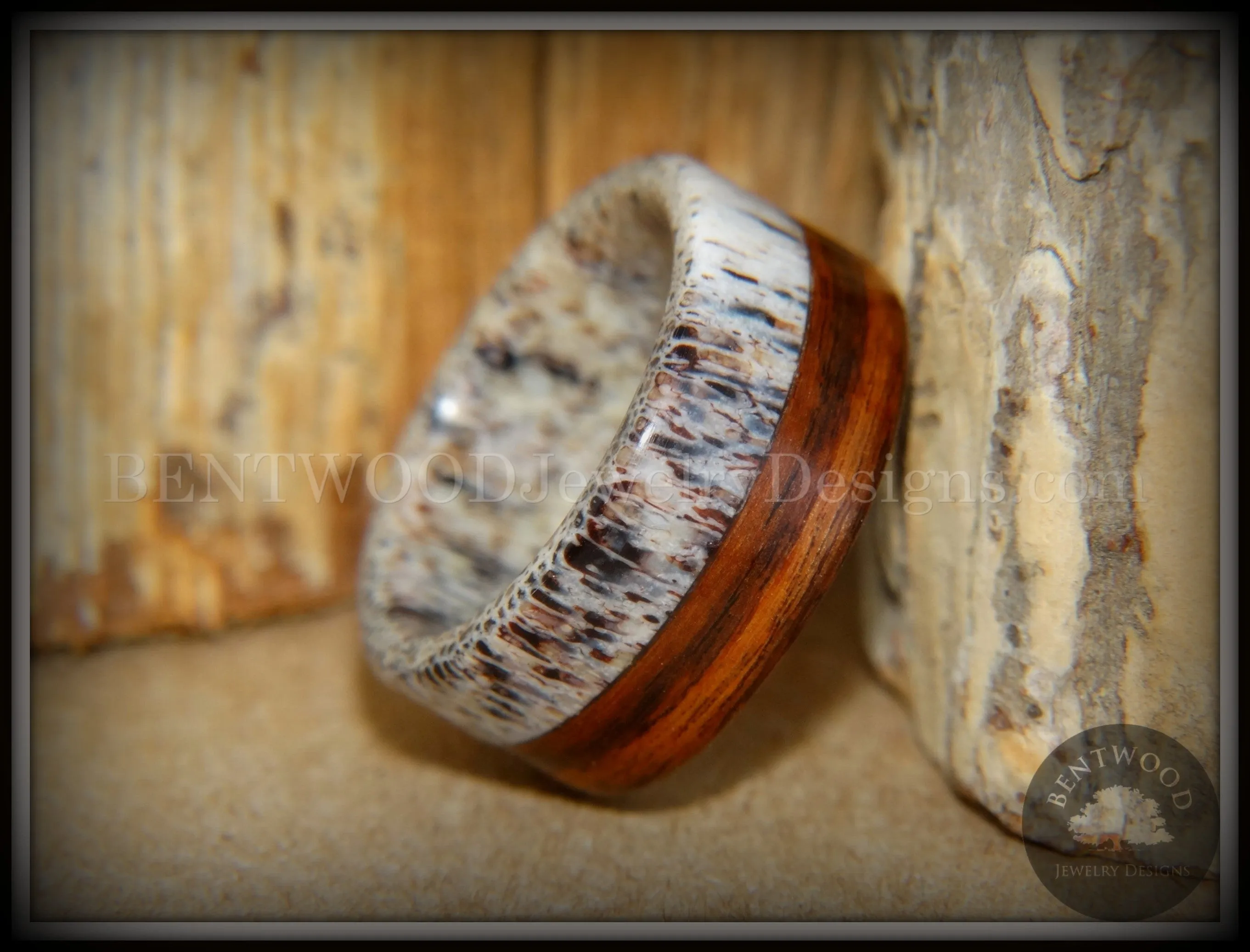 Bentwood Ring - "The Pursuit" Antler and Rosewood Inlay