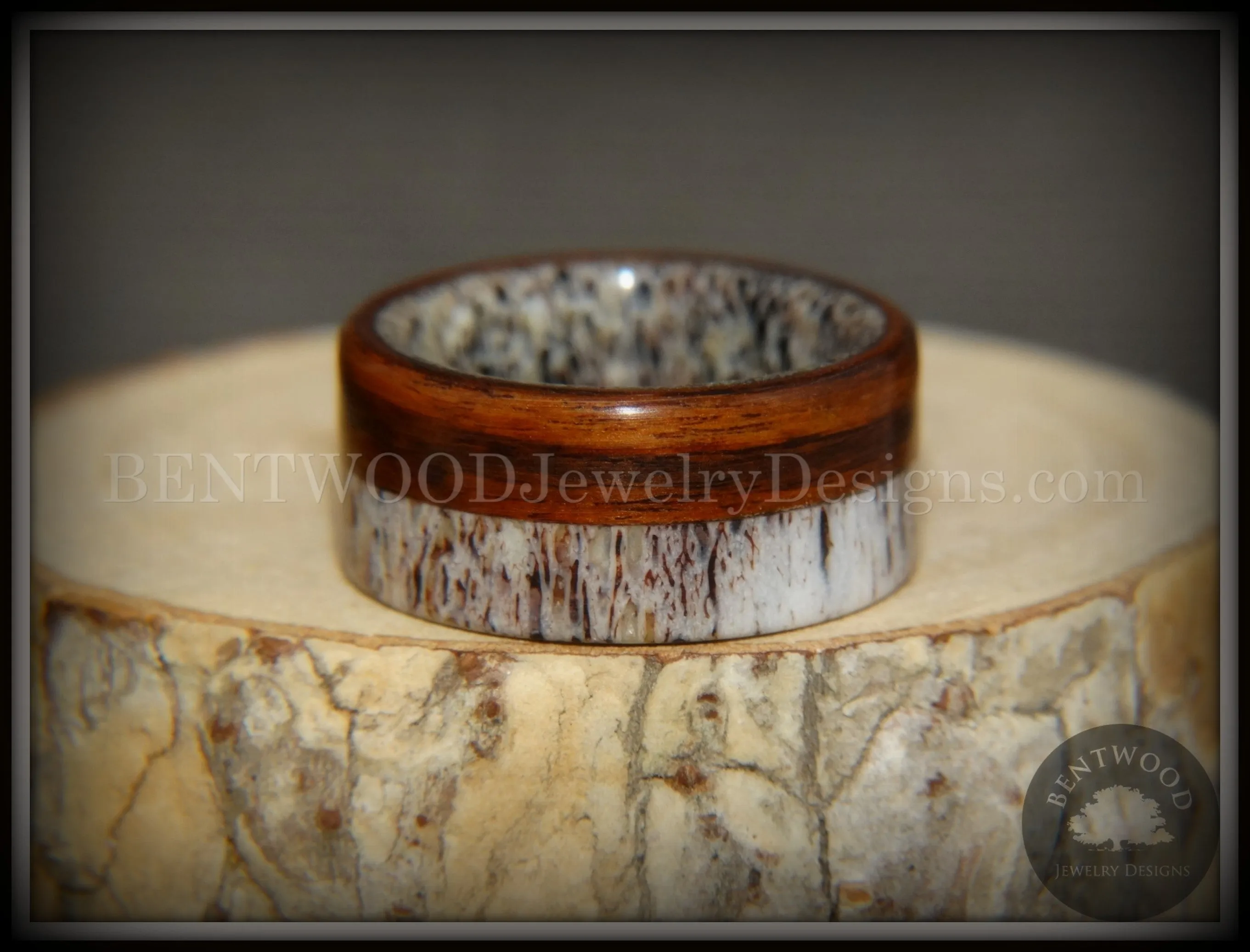 Bentwood Ring - "The Pursuit" Antler and Rosewood Inlay