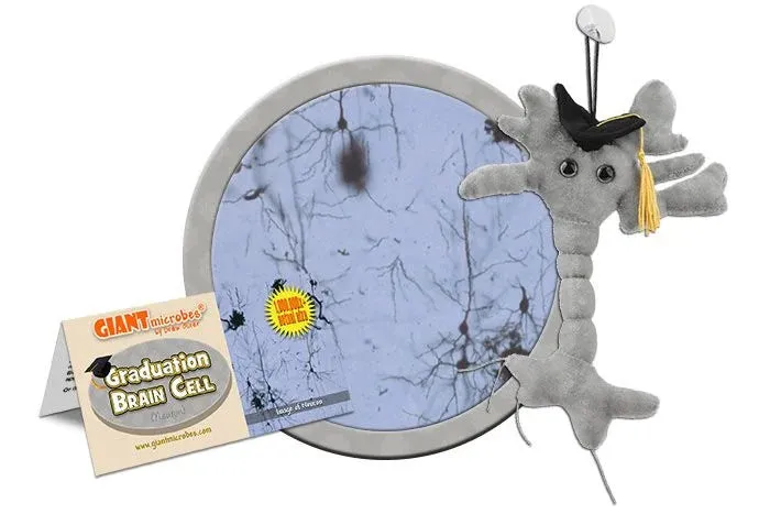 Graduation Brain Cell Plush Doll (Neuron) Giant Microbes Plush