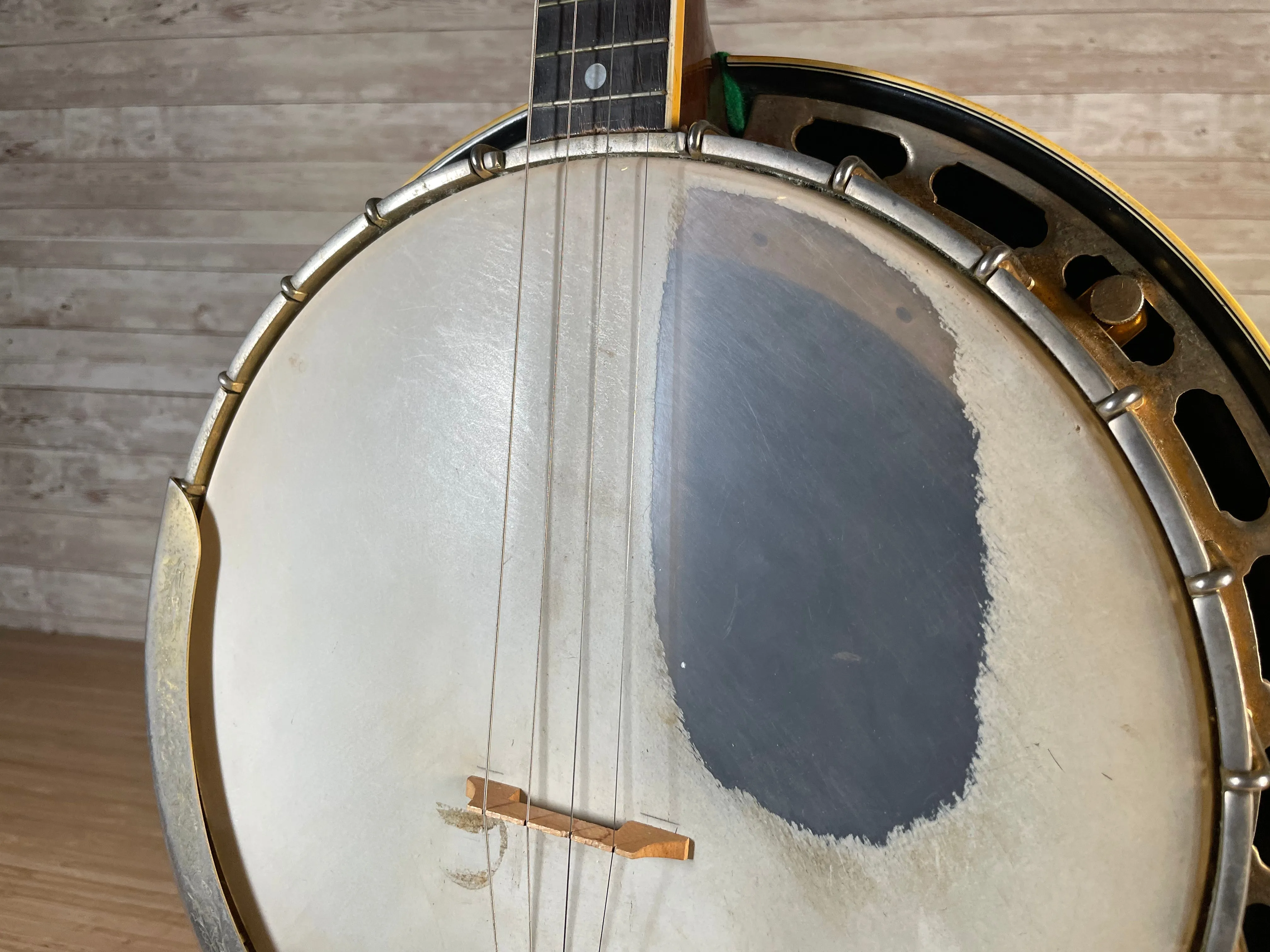 Kasuga MIJ Tenor Banjo Used