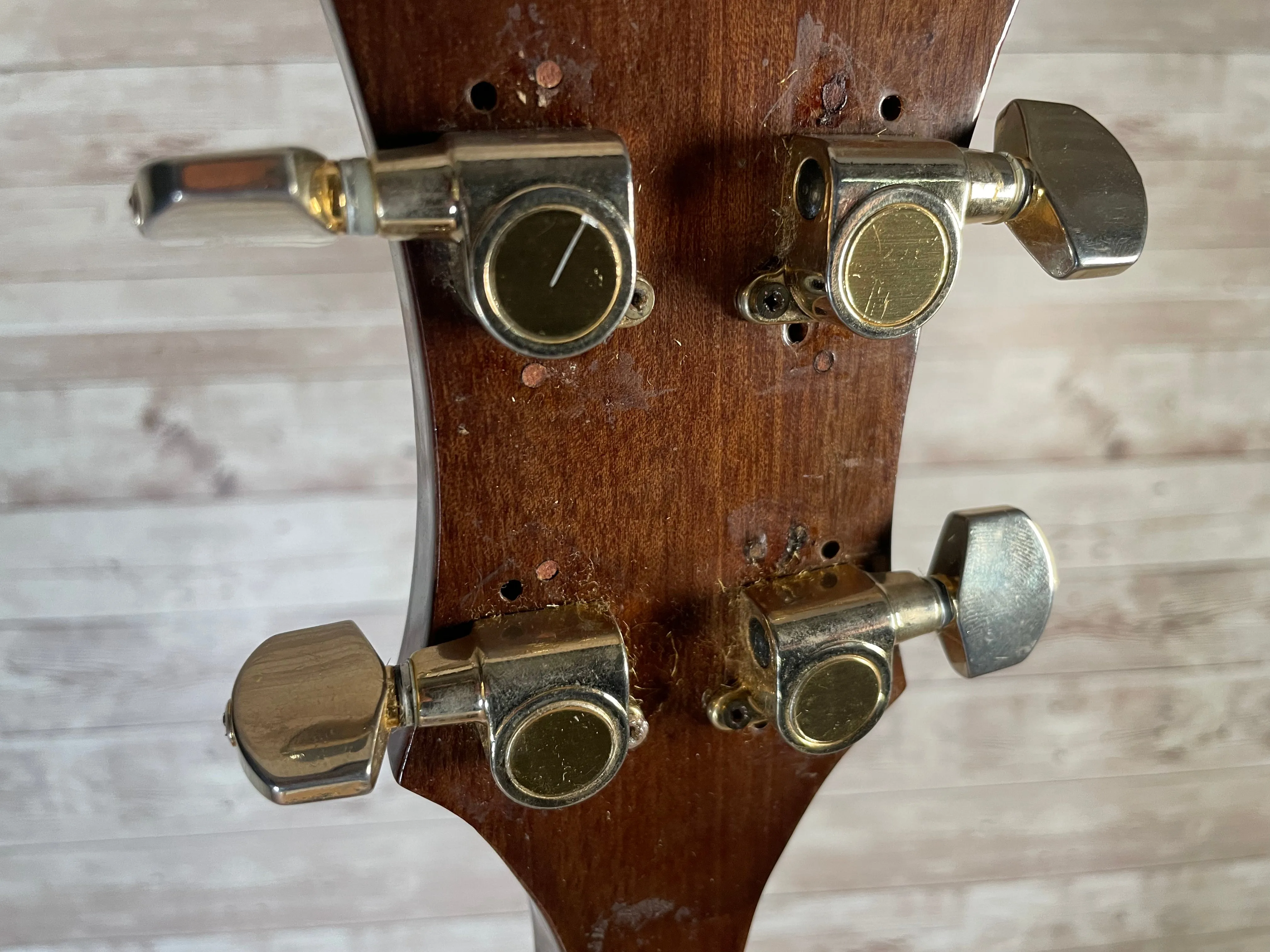 Kasuga MIJ Tenor Banjo Used