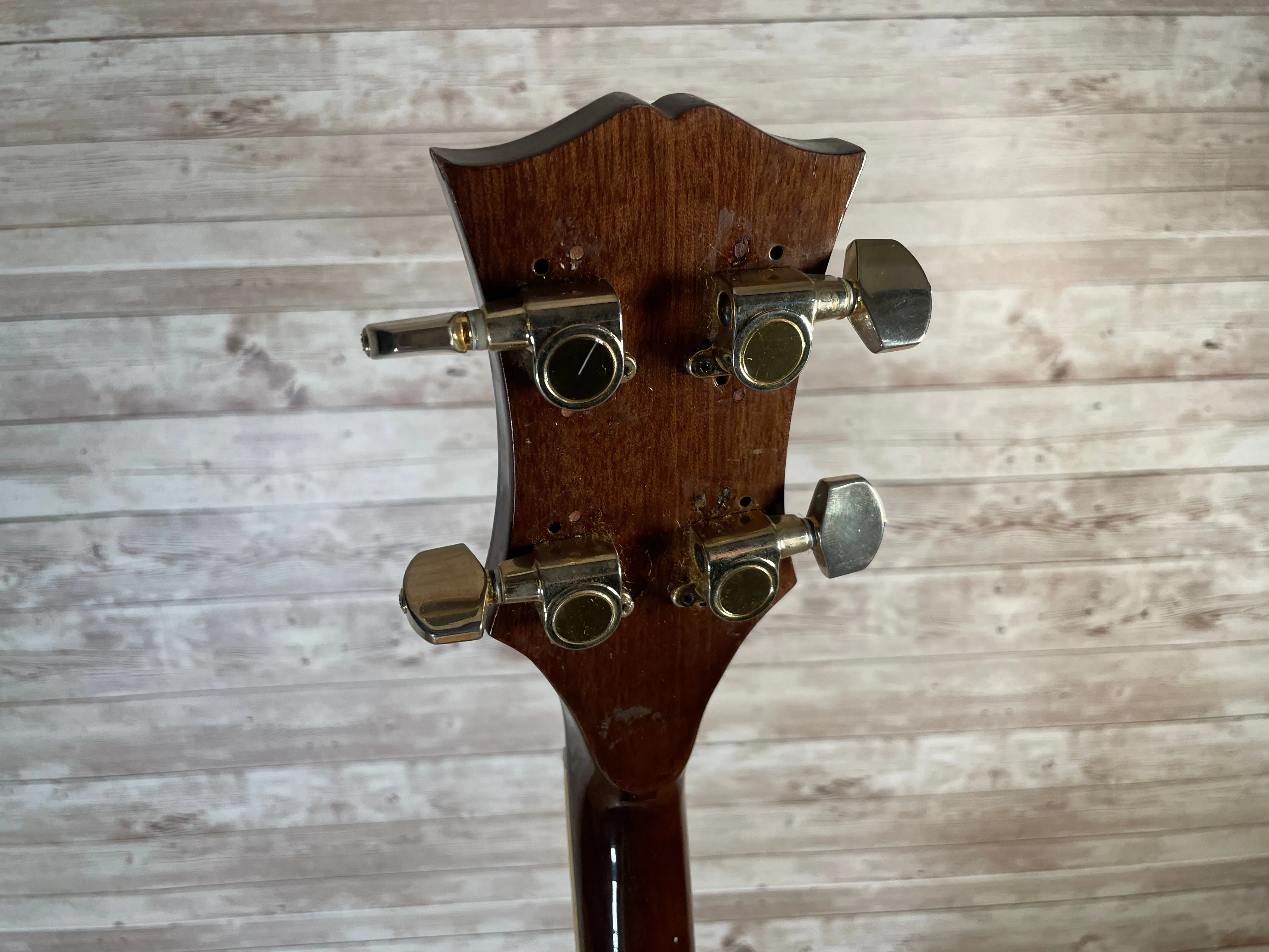 Kasuga MIJ Tenor Banjo Used