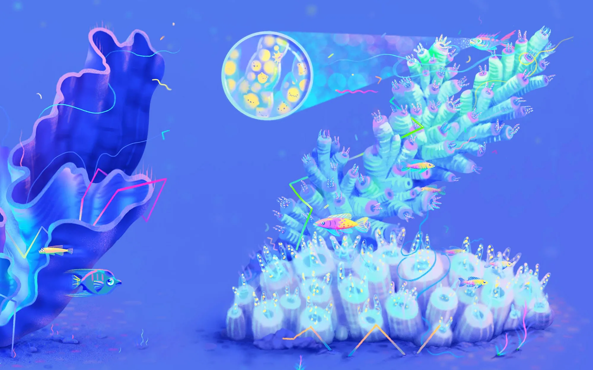 Speaking Coral