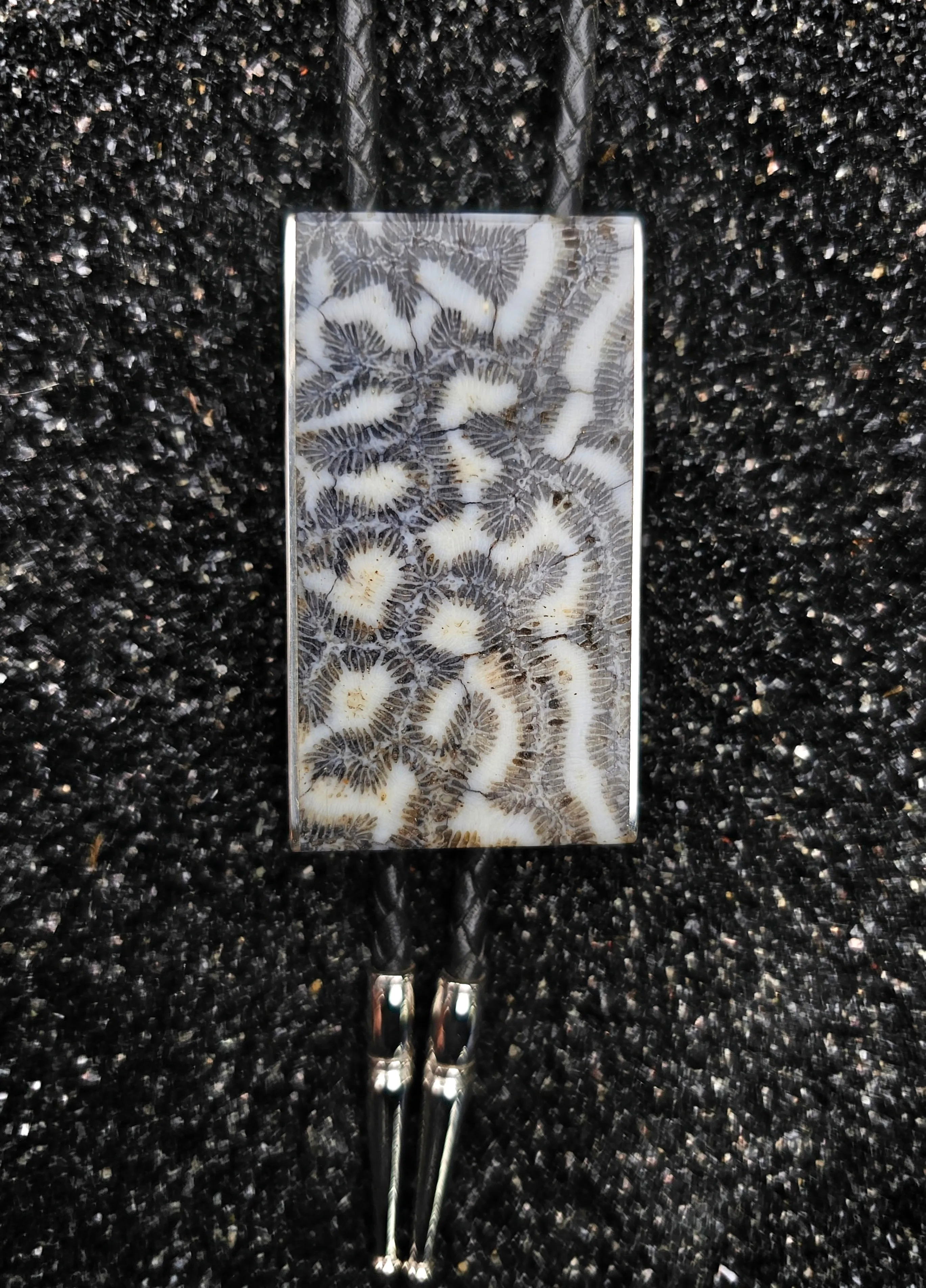 The Lasso (Fossilized Brain Coral, Ebony Wood & Sterlium Silver Bolo Tie)